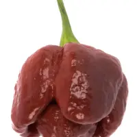 Moruga Chocolate