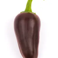 Jalapeno, Brown