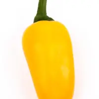 Jalapeno, Pumpkin Spice