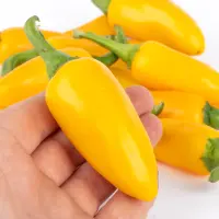 Jalapeno, Yellow
