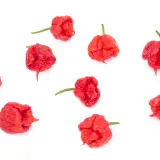 Carolina Reaper