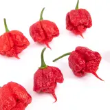 Carolina Reaper
