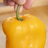 Rocoto, Riesen Yellow