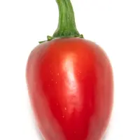 Jalapeno, M