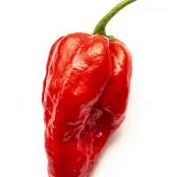 Naga Morich