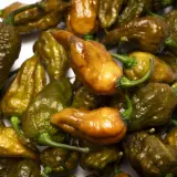 Mustard Ghost Scorpion