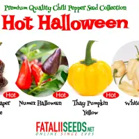 Hot Halloween (Seed Kit)