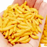 Cumari Amarillo, White Flower