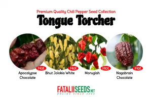 Tongue Torcher (Seed Kit)
