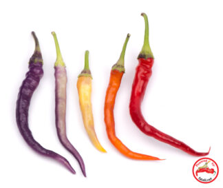 Chilimix: Buena Mulata