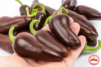 SMOKED Jalapeno Brown (Chipotle) (Dehydrated Chili) – 200g
