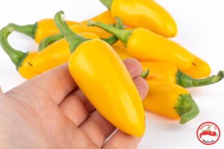 Jalapeno, Yellow