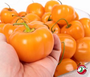 Chilimix: Rocoto Marlene