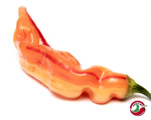 Chilimix: Sugar Rush Stripey