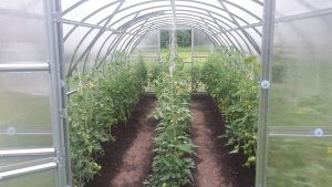 Tarjouspyyntö kasvihuoneesta: Omega Light