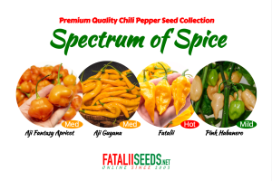 20 x Spectrum of Spice (Seed Kit)
