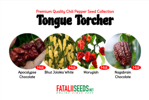 Tongue Torcher (Seed Kit)